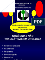 Urgências Não Traumáticas em Urologia