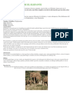 Informacion Sobre El Elefante