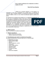 Procedimientos para Realizar Mediciones de Crecimiento en Cultivos