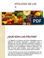 Bromatología de Las Frutas Expo