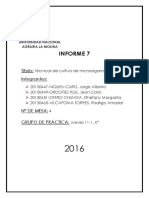 Informe 7 de Microbiologia