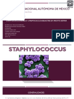 Staphylococcus 1