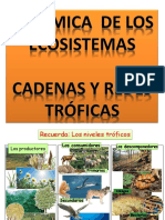 Dinámica de Los Ecosistemas - Cadenas y Redes Tróficas