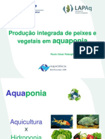 Minicurso Aquaponia PDF