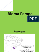 Bioma Pampa