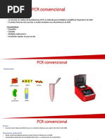 PCR Convencional - Generalidades