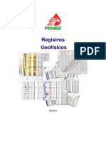 Registros Geofisicos PEMEX PDF