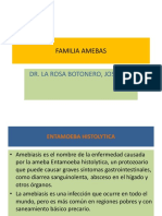 Familia Amebas PDF