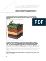 El Humus Se Forma A Través de Un Proceso Natural