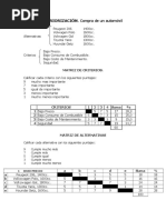 Matriz de Priorización Automóviles