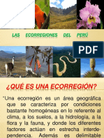 PPT Ecorregiones