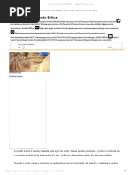 Geomorfologia - Erosão Eólica - Geografia - Grupo Escolar