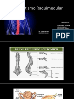 Fisiopatología Del Traumatismo Raquimedular