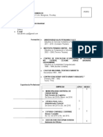 PLANTILLA Curriculum Vitae 