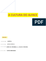 6 Aula Alface