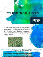 Cultivo en Callejones