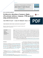 Erythrocytes Alterations of Monosex Tilapia (Oreochromis Niloticus, Linnaeus, 1758) Produced Using Methyltestosterone