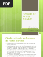 Tumores de Partes Blandas San Marcos PDF