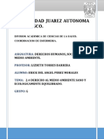 Derecho Al Medio Ambiente Sano y Ecologicamente Equilibrado..