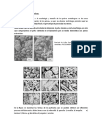 Caracterización de Polvos Metálicos