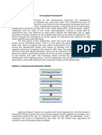 Conceptual Framework