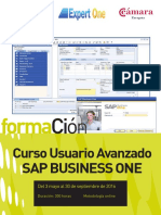 Catálogo 'SAP Business One'