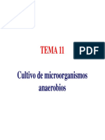 Anaerobios PDF