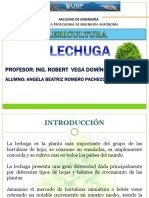 Cultivo de Lechuga PDF