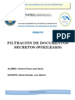 Wikileaks Ensayo