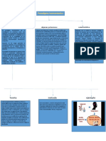 Paradigma Hermeneutico