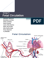 Fetal Circulation