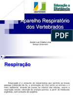 Aula Didática de Sistema Respiratório Dos Cordados Ou Vertebrados