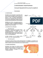 TEMA 4 - TBC Genitourinario