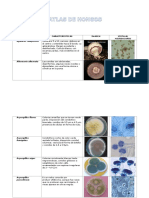 Atlas de Hongos Filamentosos