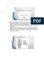 Informacion de Gaba y Adenosina