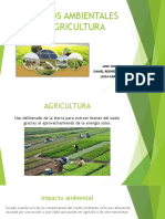 Impactos Ambientales en Agricultura