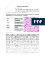 Klebsiella Pneumoniae