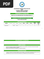 Programa Intervencion Psicopedagogica II para Imprimir