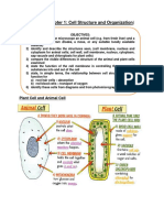 Cell Structure and Organization