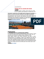 Superficies de Canchas de Tenis PDF