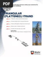 Triangular Strand