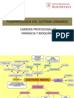 1.fisiopatología Del Sistema Urinario