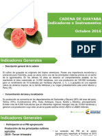 002 - Cifras Sectoriales - 2016 Octubre Guayaba