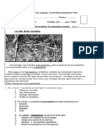 Prueba de Lenguaje 3 - Año