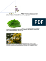 Tarea Plantas