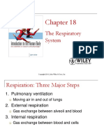 The Respiratory System