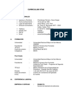 Curriculum Vitae Oscar Chambergo Formato1