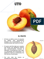 El Fruto