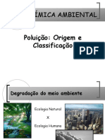 Bioquimica Ambiental - Poluição