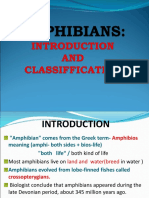 Classification of Amphibians